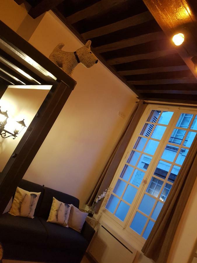 Havre De Paix Avec Exterieur Au Coeur Du Vieux Tours Daire Dış mekan fotoğraf